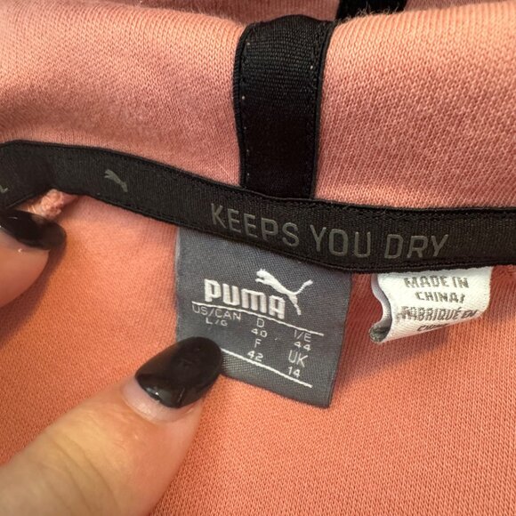 Puma Hoodie Evo Stripe Sweatshirt Pullover  Moisture Wicking Peach Size Large - Picture 9 of 12